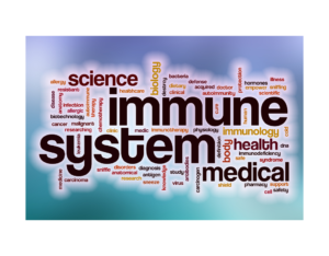 immune system block of words relating to immunity