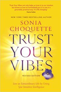 trust your vibes sonia choquette