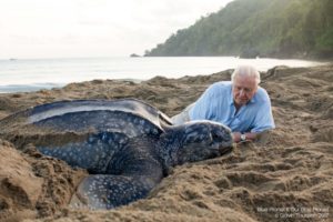 david attenborough quote on twitter blue planet