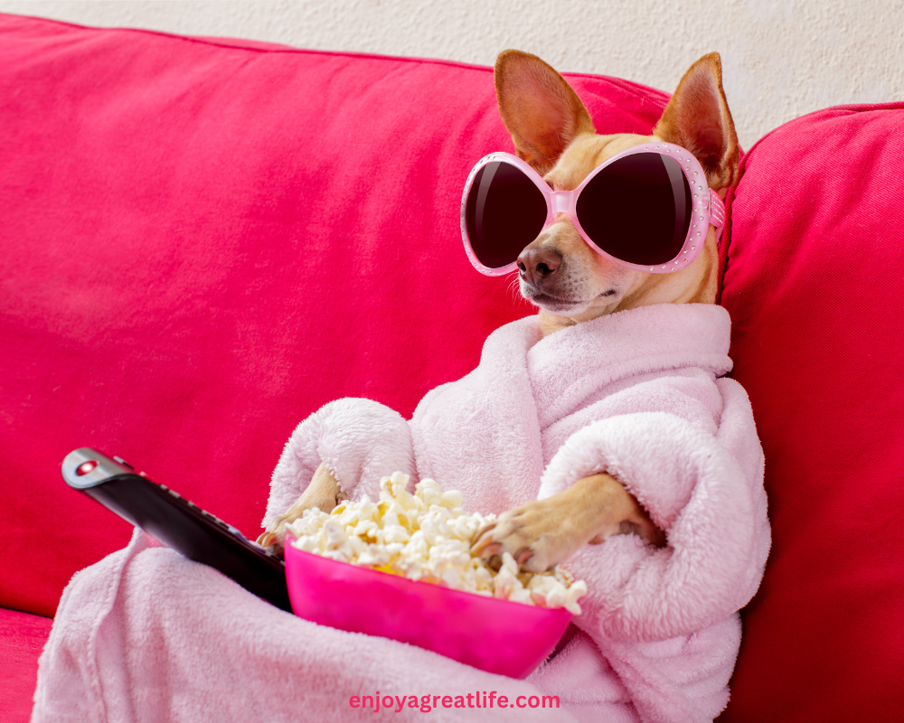 Dog sitting on sofa in dressing gown mindlessly eating popcorn