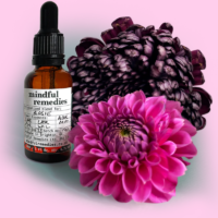 MINDFUL REMEDIES - Personalised Bach Flower Remedies For Emotional Wellbeing