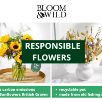 bloom & wild responsible flowers