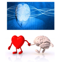 MIND / BODY / BRAIN / HEART CONNECTION