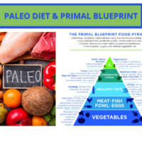 PALEO DIET / PRIMAL BLUEPRINT